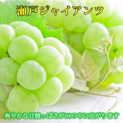 紀州かつらぎ山の瀬戸ジャイアンツ 約2kg