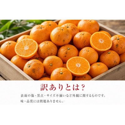和歌山有田みかん10kg【訳ありご家庭用】2S〜2Lサイズ混合