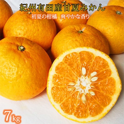 【発送月固定定期便】紀州和歌山産旬の柑橘セット(清見・なつみ・甘夏)全3回