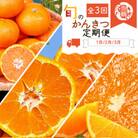 【発送月固定定期便】紀州和歌山産旬の柑橘セット(みかん・ポンカン・清見)全3回