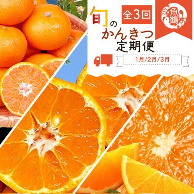 【発送月固定定期便】紀州和歌山産旬の柑橘セット(みかん・ポンカン・清見)全3回