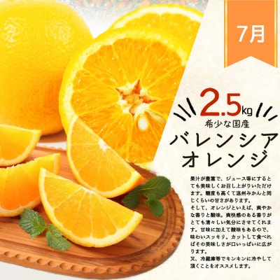 【発送月固定定期便】紀州和歌山産旬のフルーツセット(バレンシア・桃・ひらたねなし柿・みかん)全4回