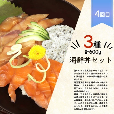 【毎月定期便】海鮮彩りセットB(サバフィレ・うなぎ蒲焼・紅鮭切身・海鮮漬)全4回