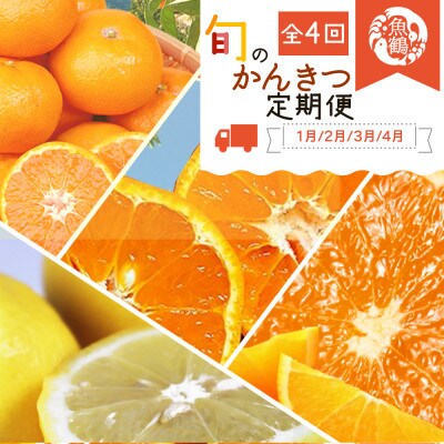 【発送月固定定期便】紀州和歌山産旬のフルーツセット(みかん・不知火・レモン・清見)全4回
