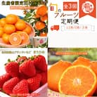 【発送月固定定期便】紀州和歌山産旬のフルーツセット(田村みかん・いちご・紀州デコ)全3回