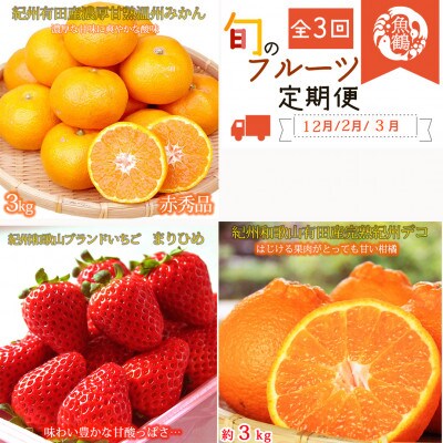 【発送月固定定期便】紀州和歌山産旬のフルーツセット(有田みかん・まりひめ・紀州デコ)全3回