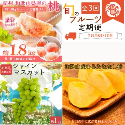 【発送月固定定期便】紀州和歌山産旬のフルーツセット(桃・シャインマスカット・ひらたねなし柿)全3回