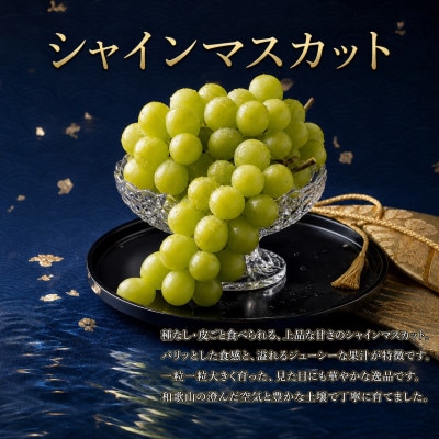 【発送月固定定期便】紀州和歌山産旬のフルーツセット(桃・シャインマスカット・ひらたねなし柿)全3回