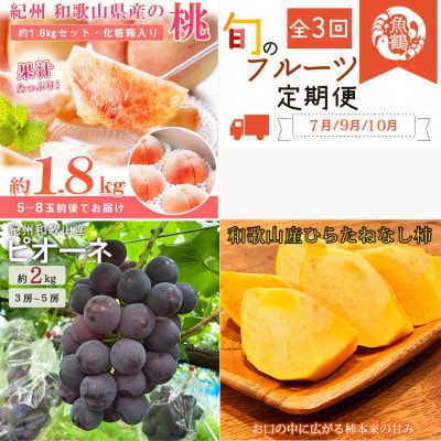 【発送月固定定期便】紀州和歌山産旬のフルーツセット(桃・ピオーネ・ひらたねなし柿)全3回