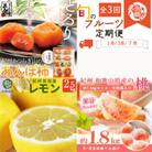 【発送月固定定期便】紀州和歌山産旬のフルーツセット(あんぽ柿・レモン・桃)全3回