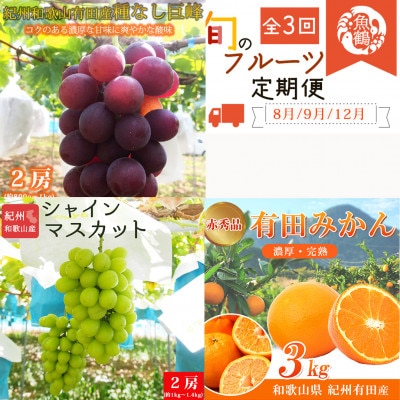 【発送月固定定期便】紀州和歌山産旬のフルーツセット(種なし巨峰・シャイン・みかん)全3回
