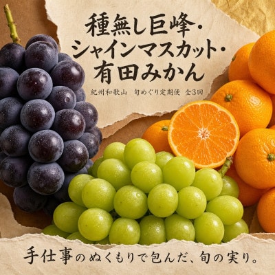 【発送月固定定期便】紀州和歌山産旬のフルーツセット(種なし巨峰・シャイン・みかん)全3回