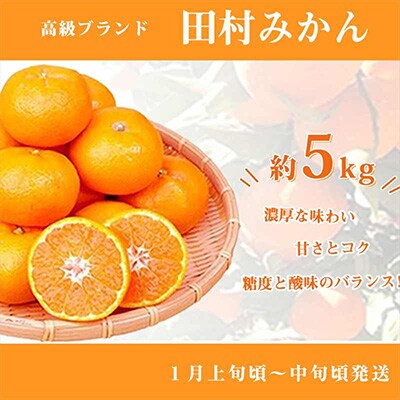 2023年1月発送開始『定期便』紀州和歌山産旬の柑橘セット(みかん・不知火・清見)全3回