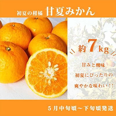 2023年3月発送開始『定期便』紀州和歌山産旬の柑橘セット(紀州デコ・なつみ・甘夏)全3回