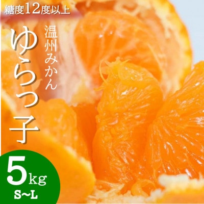 厳選 糖度12度以上!温州みかん「ゆらっ子」　5kg(サイズS～L)【2025年12月～順次発送】