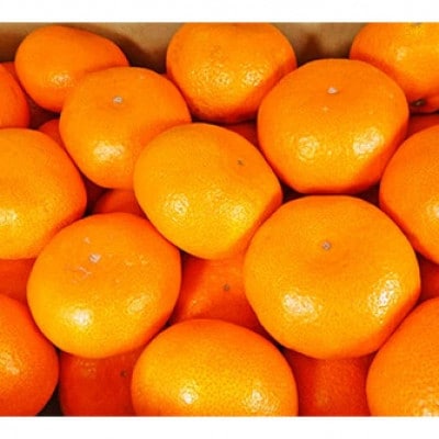厳選 糖度12度以上!温州みかん「ゆらっ子」　5kg(サイズS～L)【2025年12月～順次発送】