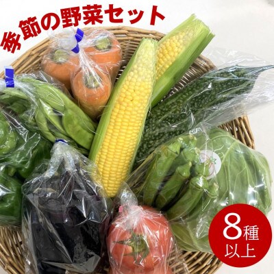 ファーマーズマーケット厳選　日高からの贈り物　季節の野菜セット(8種以上)【野菜詰め合わせ】