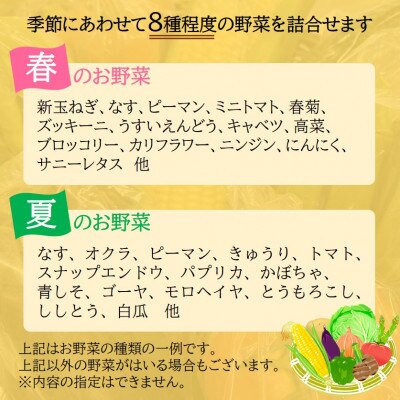 ファーマーズマーケット厳選　日高からの贈り物　季節の野菜セット(8種以上)【野菜詰め合わせ】