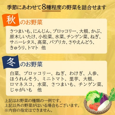ファーマーズマーケット厳選　日高からの贈り物　季節の野菜セット(8種以上)【野菜詰め合わせ】