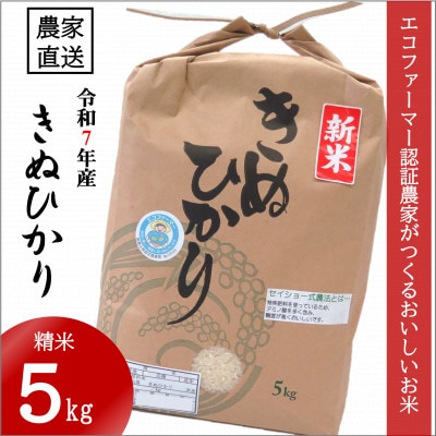【令和7年10月～順次発送】★令和7年産新米★米「きぬひかり」5kg