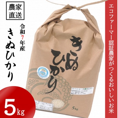 【令和7年10月～順次発送】★令和7年産★米「きぬひかり」5kg