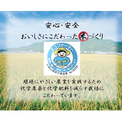 ★令和6年産★ 米「きぬひかり」3kg  (令和6年10月～順次発送)