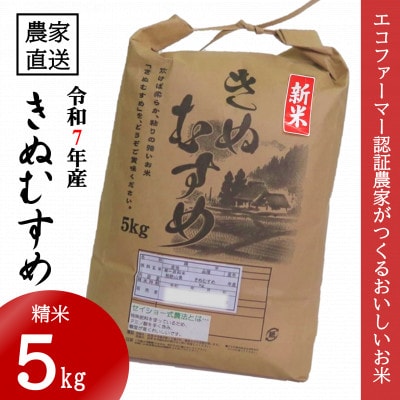 ★令和7年産新米★ 米 きぬむすめ 精米 5kg(令和7年10月～順次発送)