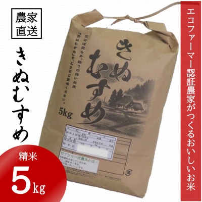 ★令和7年産★ 米 きぬむすめ 精米 5kg(令和7年10月～順次発送)