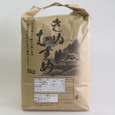 ★令和8年産 新米★ きぬむすめ 精米 5kg(令和8年10月～順次発送/2026年産)