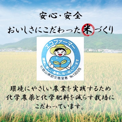 ★令和7年産新米★ 精米 にじのきらめき 2kg & きぬむすめ 2kg 食べ比べセット