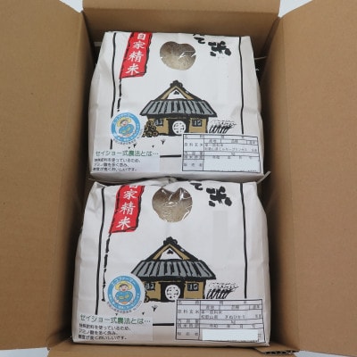 ★令和8年産 新米★ にじのきらめき & きぬむすめ 各2kg(計4kg) 食べ比べセット