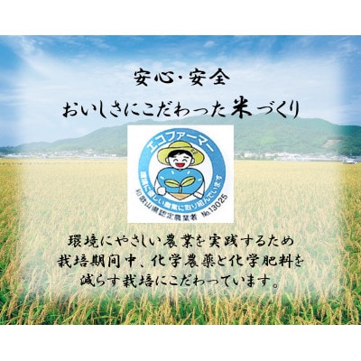 ★令和8年産 新米★ きぬむすめ 精米 2kg(令和8年10月～順次発送/2026年産)