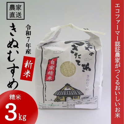 ★令和7年産新米★ 米 きぬむすめ 精米 3kg(令和7年10月～順次発送)