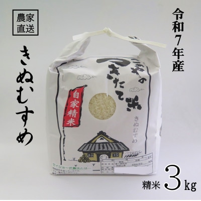 ★令和7年産★ 米 きぬむすめ 精米 3kg(令和7年10月～順次発送)