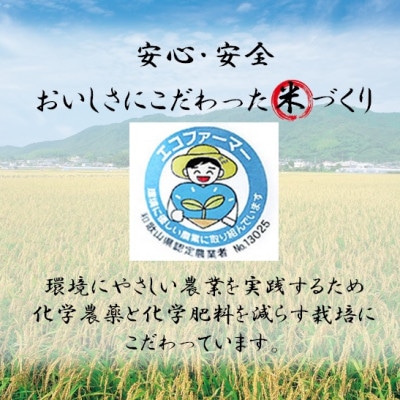 【毎月定期便】令和6年産 米 きぬひかり 精米5kg全3回