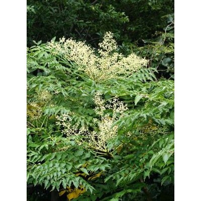 熊野古道　峠の蜂蜜2本セット(日高町)