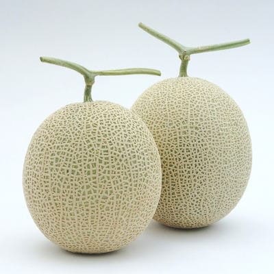 [産地直送]和歌山の温室アールスメロン2玉入り(3kg以上)