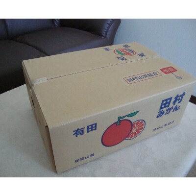 田村みかん約5kg(日高町)