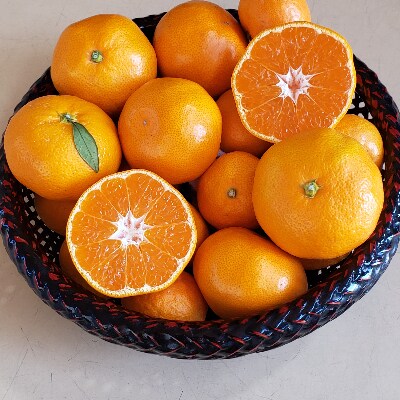 田村みかん約5kg(日高町)