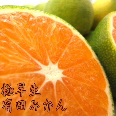 【初秋の美味】【10月～発送】有田育ちのご家庭用訳あり濃厚極早生有田みかん　約5kg【サイズ混合】