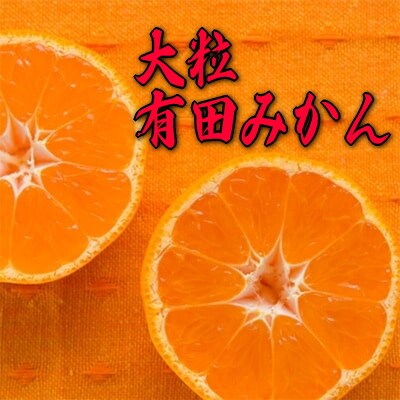 【果汁たっぷり】迫力満点! 大粒 有田みかん 　約6kg