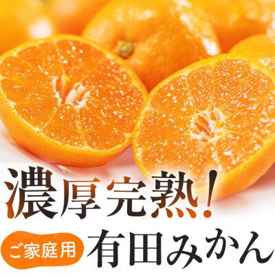 【先行受付】農園直送!ご家庭用濃厚有田みかん　4kg