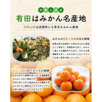 【先行受付】農園直送!ご家庭用濃厚有田みかん　4kg