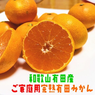 【先行受付 2024年12月から発送】有田育ちのご家庭用訳あり完熟有田みかん　6kg