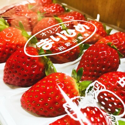 【大人気】農家直送!濃厚完熟まりひめいちご 12～18粒×2トレイ(約700g)【和歌山ブランド苺】