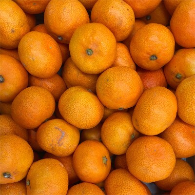 【サイズおまかせ】和歌山有田産みかん約10kg ご家庭用 SS、S、M、L、2L【日高町】