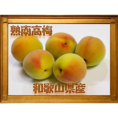 2025/6月より発送【梅干し・梅酒用】紀州和歌山の熟南高生梅4Lor3L-10kg