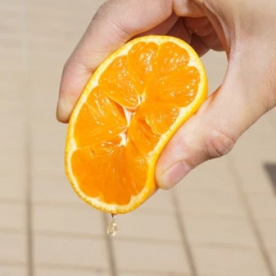 無添加みかんジュース『ゆらしぼり　みかん』 324ml×5本セット