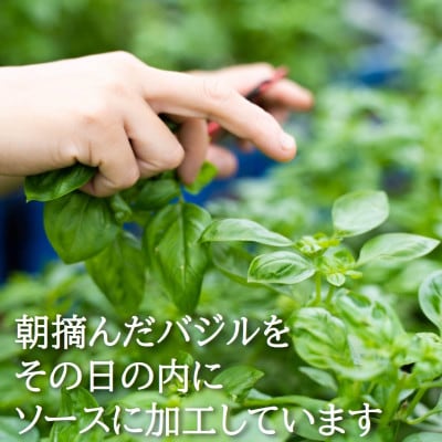 濃厚・無添加　バジルソース(ジェノベーゼソース)　瓶　100g×3本