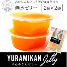 みかんの美味しさそのまま!無水みかんゼリー 2個セット&times;2袋(スプーン付)